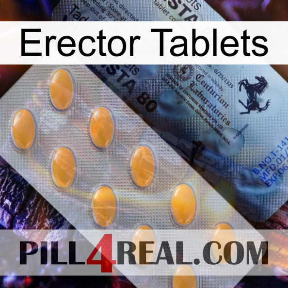 Erector Tablets 44.jpg